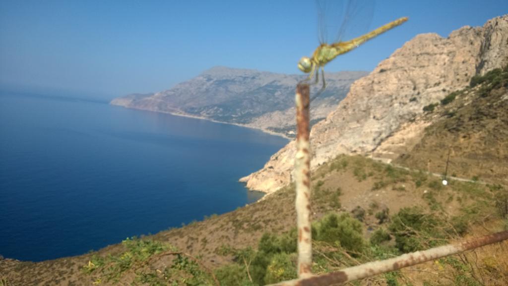 Ikaria Studios Manganítis Exterior foto